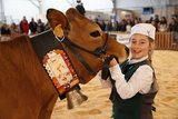 Am Sommet d'élevage 2019 hatten auch 550 Milchkühe ihren Auftritt, hier eine Jersey. Bild: zVg 