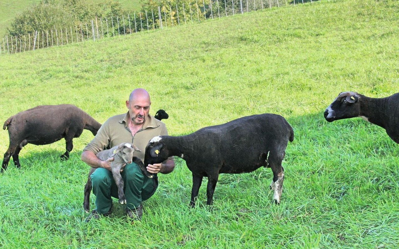 Kaspar Ziltener kniet im Gras und hält ein Lamm im Arm, während die Aue daneben steht und ihn beschnuppert.