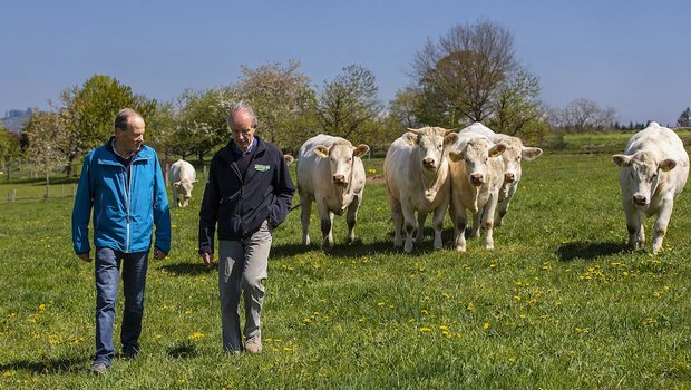 Tierarzt Oskar Luder (links) und Landwirt Fredy Schmied arbeiten seit Jahren eng zusammen. Sie wenden Komplementärmedizin und Schulmedizin an. Bild: Pia Neuenschwander 