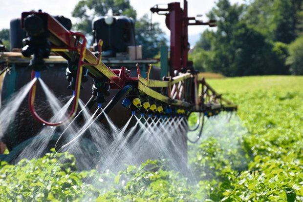 Alternativen im Pflanzenschutz Welche alternativen Methoden werden im Pflanzenschutz an Bedeutung gewinnen? Bild: Thomas Steiner, Fachstelle Pflanzenschutz Bern