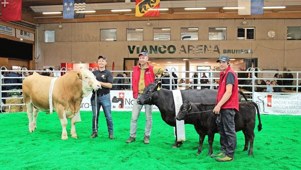 Mister Swissopen 2025 wurde der Simmentalstier Akira von Beat Dietrich aus Gals BE. Miss Swissopen bei den Kühen wurde die Dexter-Kuh Bielenhof Sanja aus Erstfeld UR.
