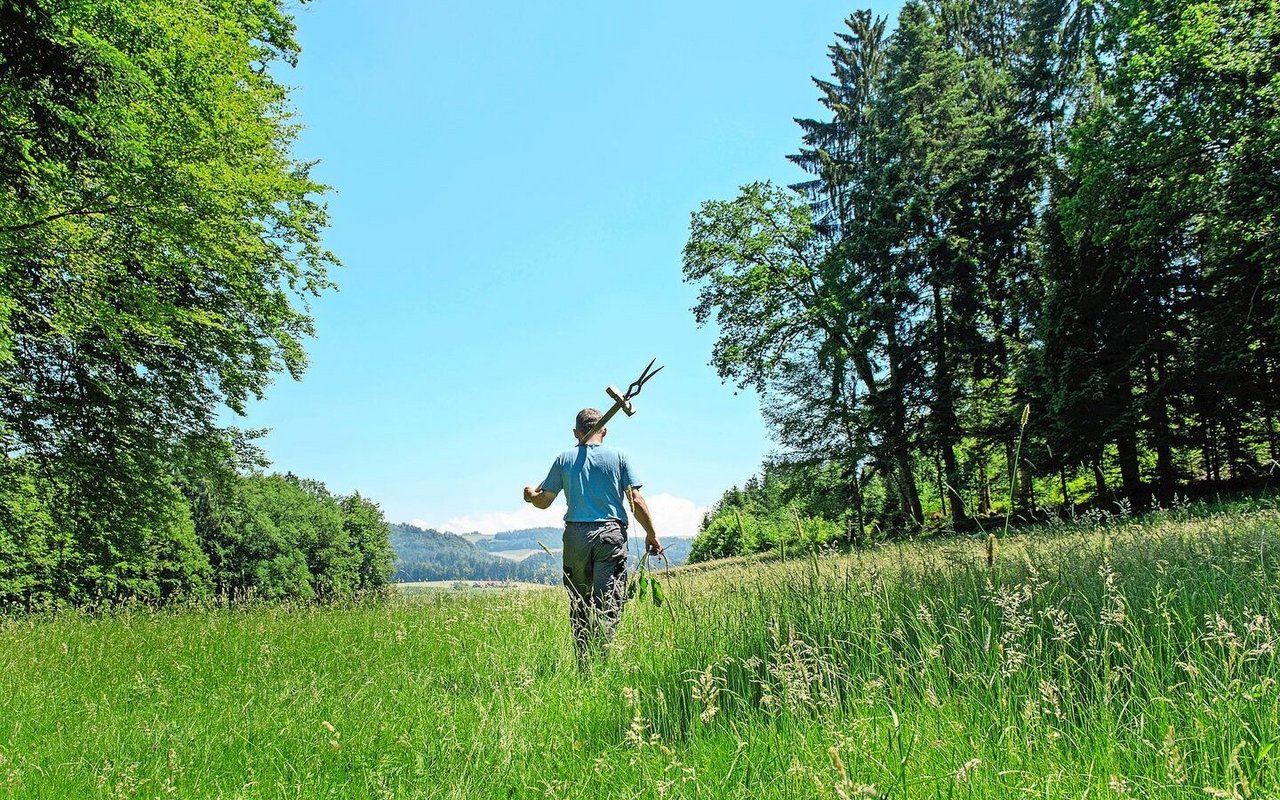 Narrativforschung kann das gegenseitige Verständnis fördern und bietet Ansätze, um gemeinsame Lösungen zu entwickeln.