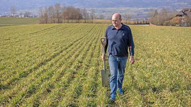 Vor der Bodenbearbei Vor der Bodenbearbeitung schaut Schwab, wo die Regenwürmer sind.