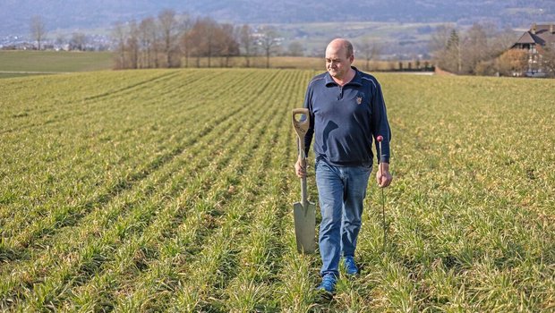 Vor der Bodenbearbei Vor der Bodenbearbeitung schaut Schwab, wo die Regenwürmer sind.