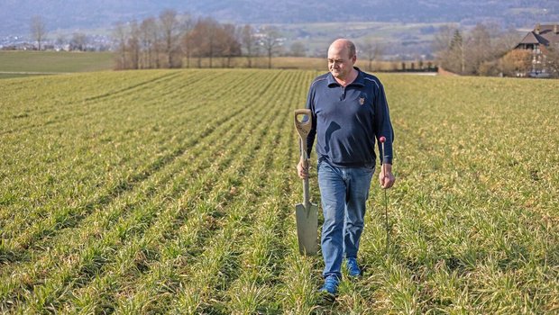 Vor der Bodenbearbeitung schaut Schwab, wo die Regenwürmer sind.