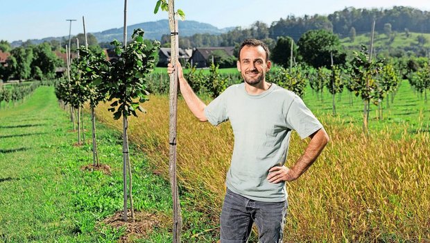 Stefan Gerber in sei Stefan Gerber in seiner Haselnuss-Anlage. Ab November sind seine Haselnüsse wieder im Handel erhältlich.