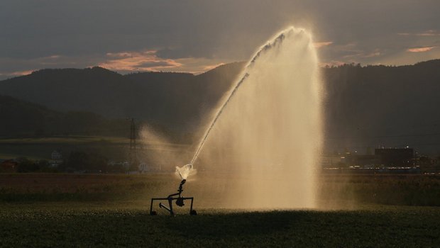 Bei gewissen Kulturen ist Bewässerung nötig, um den Ertrag zu sichern.
