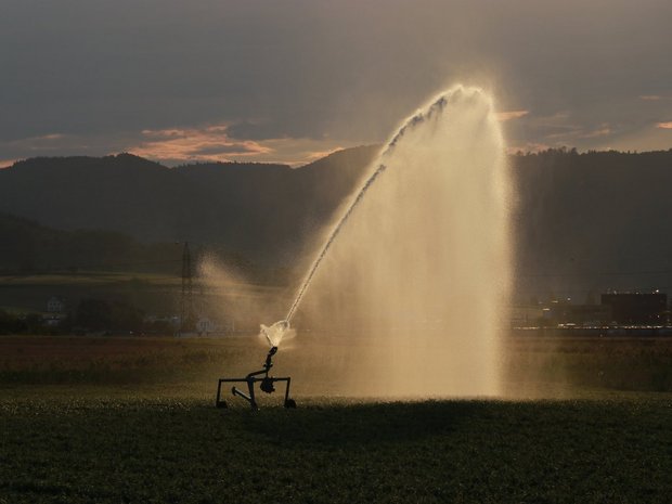 Bei gewissen Kulturen ist Bewässerung nötig, um den Ertrag zu sichern.