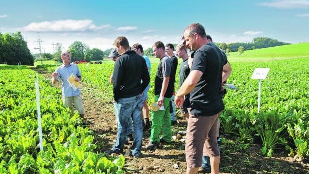 Optimaler Hörsaal für Landwirte: Vorlesung auf dem Feld. (Bild Strickhof)