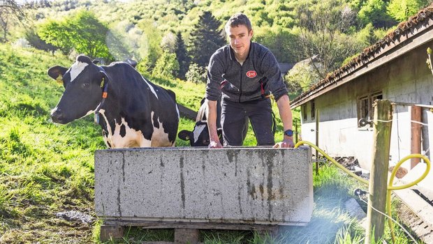 Die Milchkühe trinken aus klassischen Betontrögen, die Franz Schärli regelmässig reinigt. Das Wasser kommt aus der eigenen Quelle.