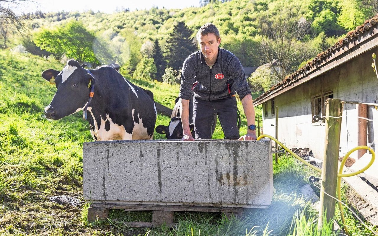 Die Milchkühe trinken aus klassischen Betontrögen, die Franz Schärli regelmässig reinigt. Das Wasser kommt aus der eigenen Quelle.