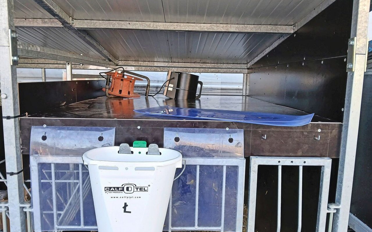 Der Wärmedeckel Marke Eigenbau hilft Kälbern im Winter, nicht auszukühlen. Eine genaue Bauanleitung gibt es vom Strickhof.