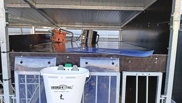 Der Wärmedeckel Marke Eigenbau hilft Kälbern im Winter, nicht auszukühlen. Eine genaue Bauanleitung gibt es vom Strickhof.