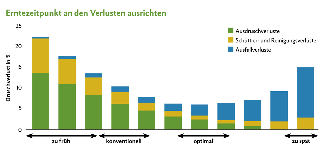 Mit zunehmender Reife sinken die Ausdruschverluste, dafür nehmen Ausfallverluste zu. Bei den heutigen Sorten wurde das Schoten-Aufplatzen weggezüchtet, wodurch das Risiko von Ausfall-Verlust deutlich sank und somit später geerntet werden kann.