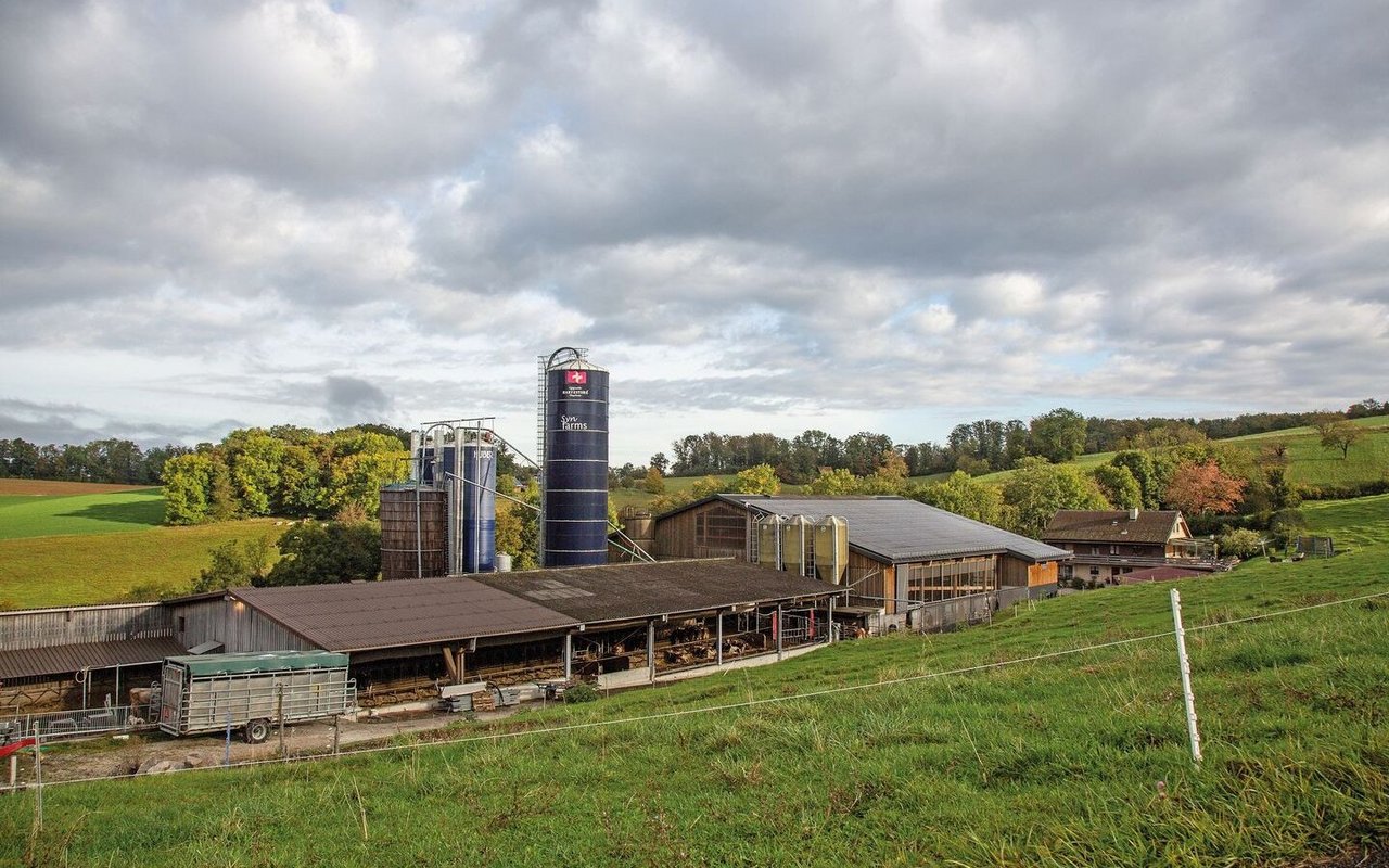 Übersicht über die Stallgebäude der Betriebsgemeinschaft Synfarms.