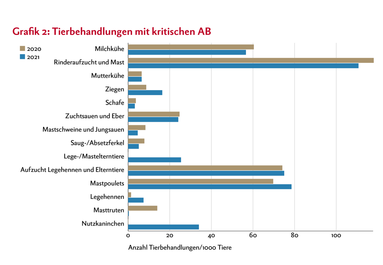 In der Grafik sind die Tierbehandlungen mit kritischen Antibiotika der Jahre 2020 und 2021 dargestellt. Unterschieden wird dabei zwischen einzelnen Nutztierkategorien.