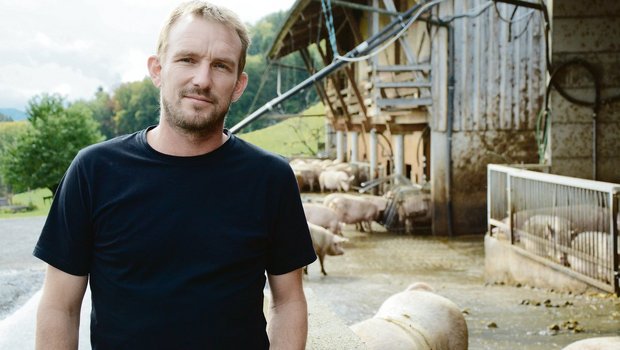 Urs Haslebacher hält in einem Ring 850 Moren und produziert  6500 Jager und 2000 Mastschweine/Jahr, neu für IP-Suisse.(Bild sb)