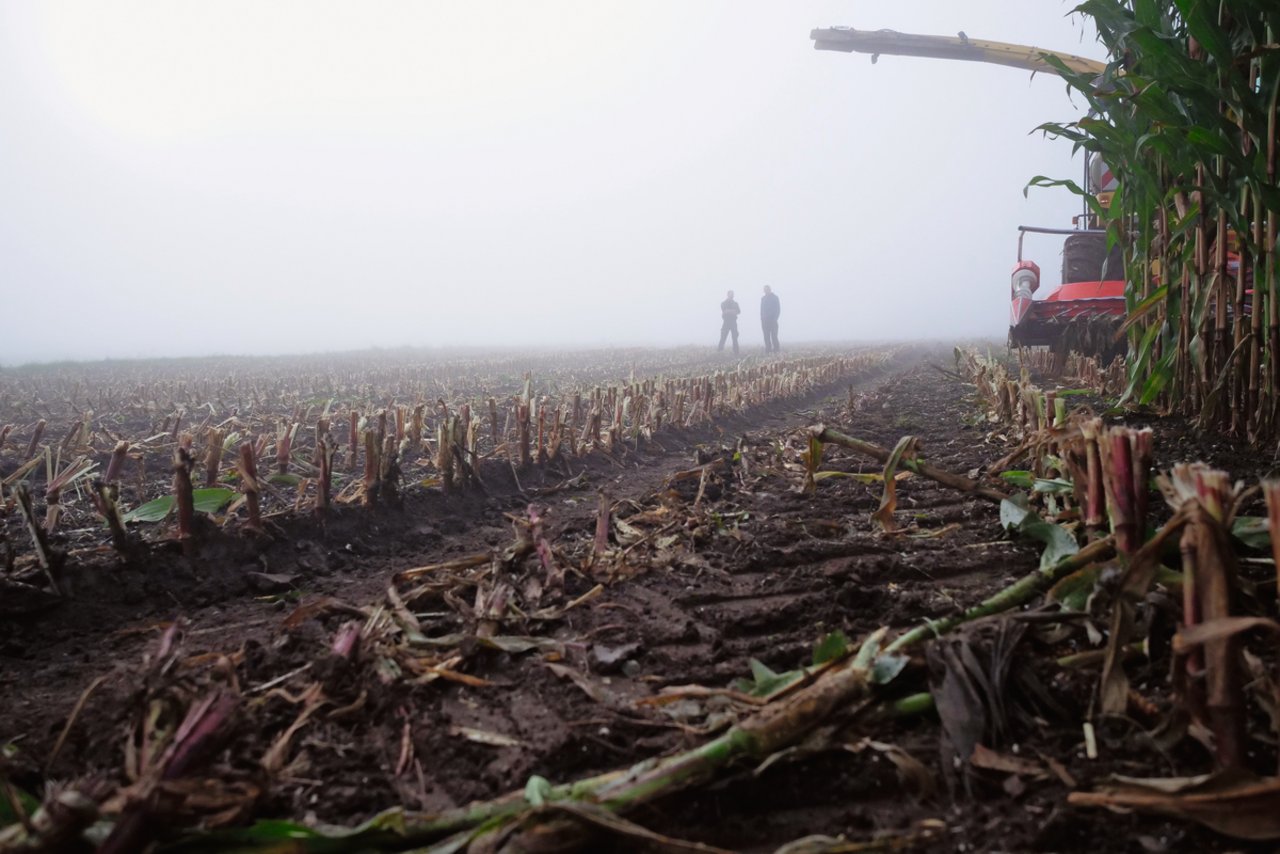 Zum Glück ist das Pflugsaat-Feld flach und wurde Ende September 2020 geerntet. Die folgenden Regentage hätten den Boden noch mehr aufgeweicht und tiefere Fahrspuren hinterlassen. Bild: Martina Rüegger