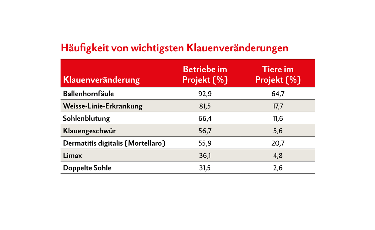 Tabelle zeigt die häufigsten Klauen-Veränderungen und -Erkrankungen.