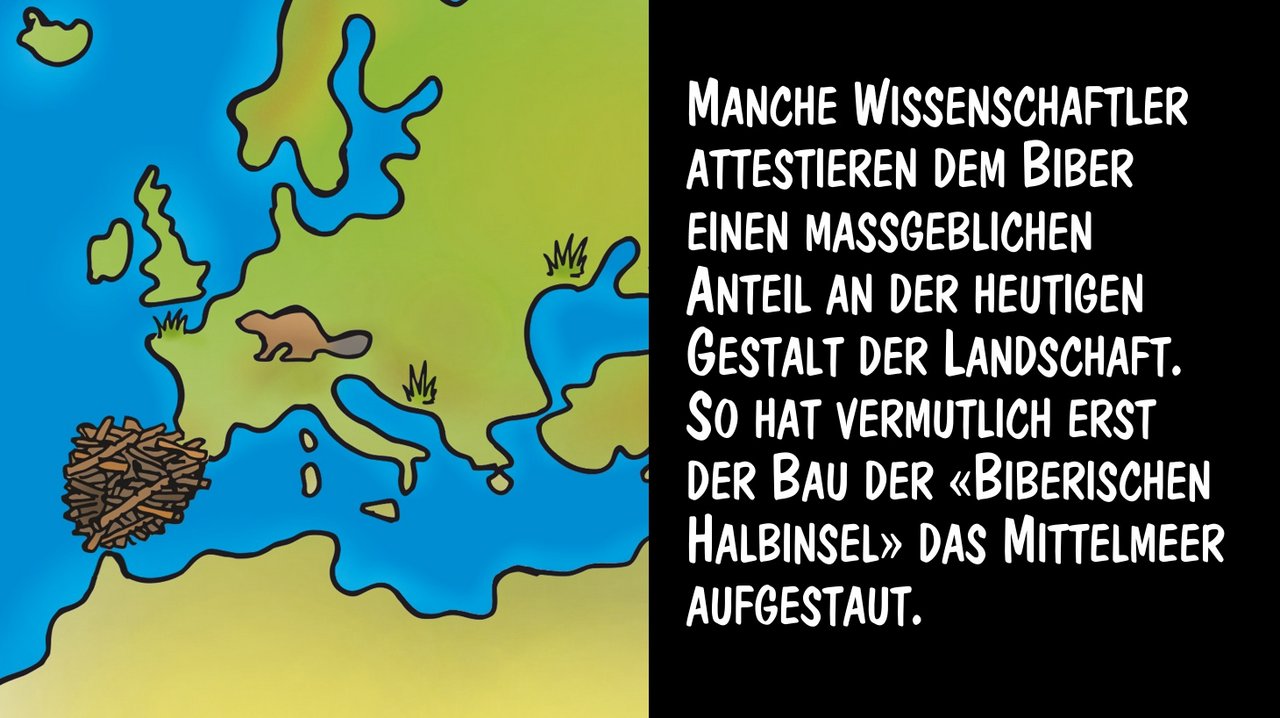 Der Biber hat grossen Anteil an der heutigen Gestaltung der Landschaft. Cartoon: Marco Ratschiller/Karma