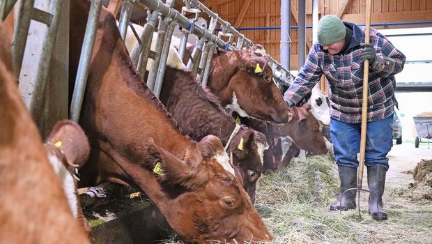 Die Klientinnen und Klienten finden bei Familie Reusser sinnvolle Aufgaben und strukturierte Tage.