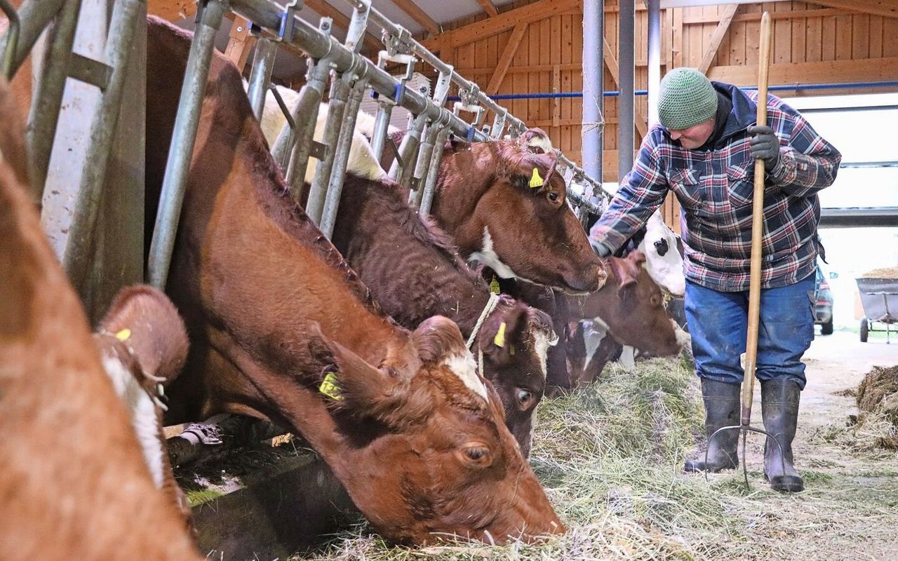 Die Klientinnen und Klienten finden bei Familie Reusser sinnvolle Aufgaben und strukturierte Tage.