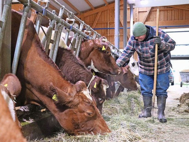 Die Klientinnen und Klienten finden bei Familie Reusser sinnvolle Aufgaben und strukturierte Tage.