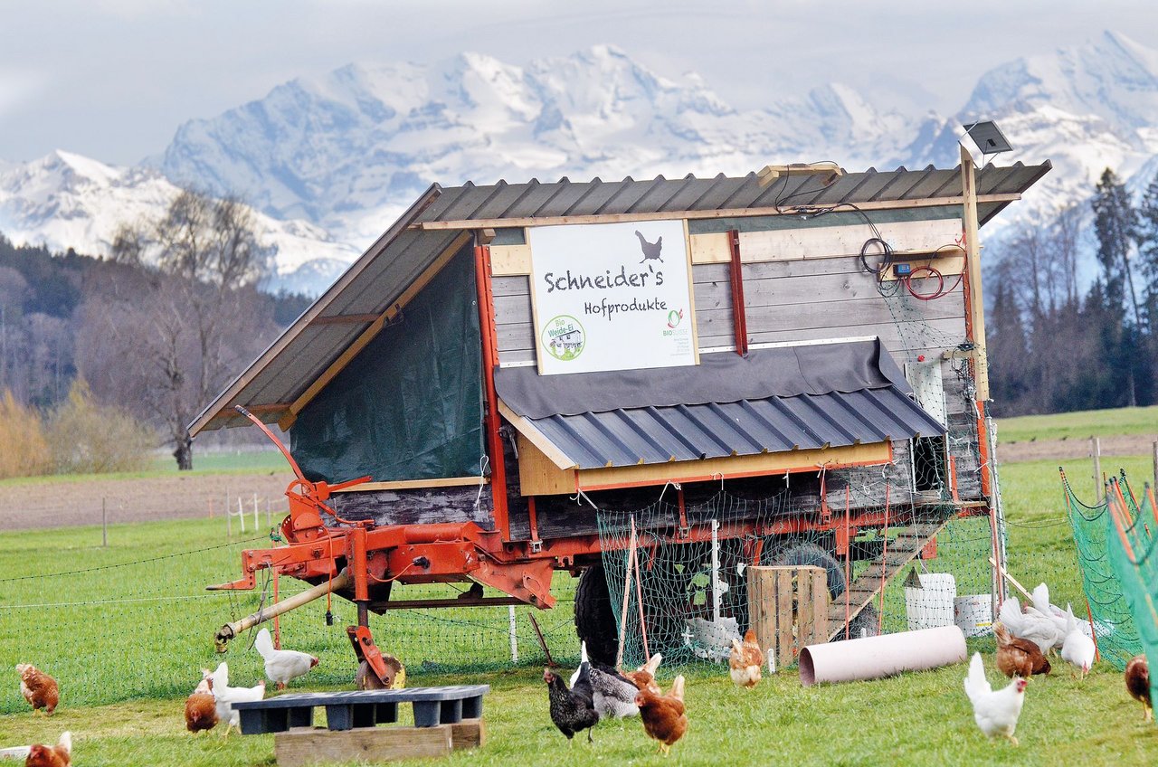 Ein ehemaliger Ladewagen als Hühnermobil.Bild: Hans Peter Schneider