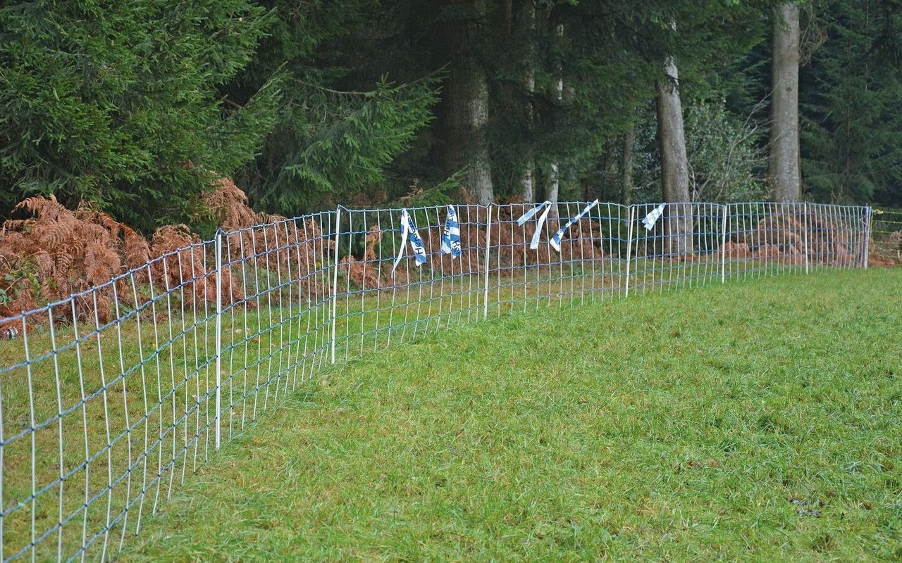 Blaue Bändel machen das Weidenetz für Wildtiere sichtbar. 