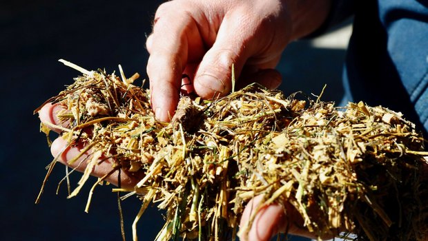 Die Pic-Mix-Würfel aus dem Food Recycling der Landi Sursee LU werden in eine Totale Mischration TMR gemischt. Bild: Ruben Sprich