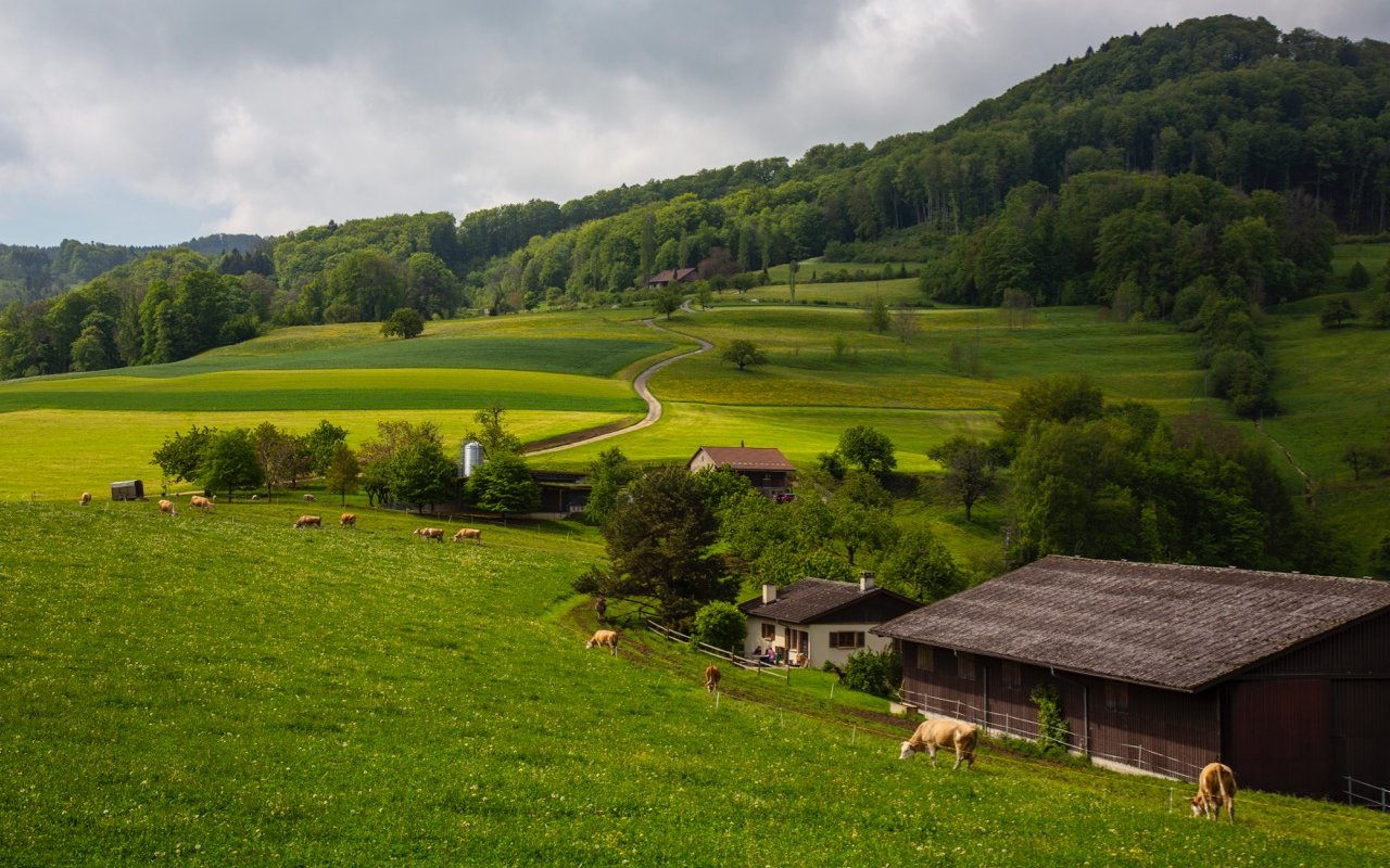 Der Betrieb war bei der Übergabe gut in Schuss. Deshalb konnten die Junglandwirte von Beginn weg loslegen – ohne grosse Investitionen.