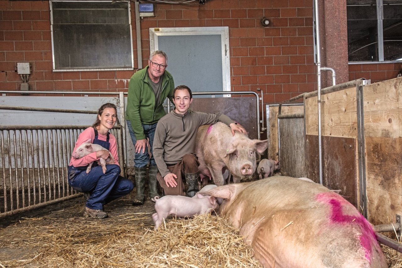 Der Gruppenlaufstall ist ein Familienprojekt. Die jungen Rucklis träumen davon, ihre Schweinehaltung und -fütterung noch weiter auszufeilen. Bild: Pia Neuenschwander