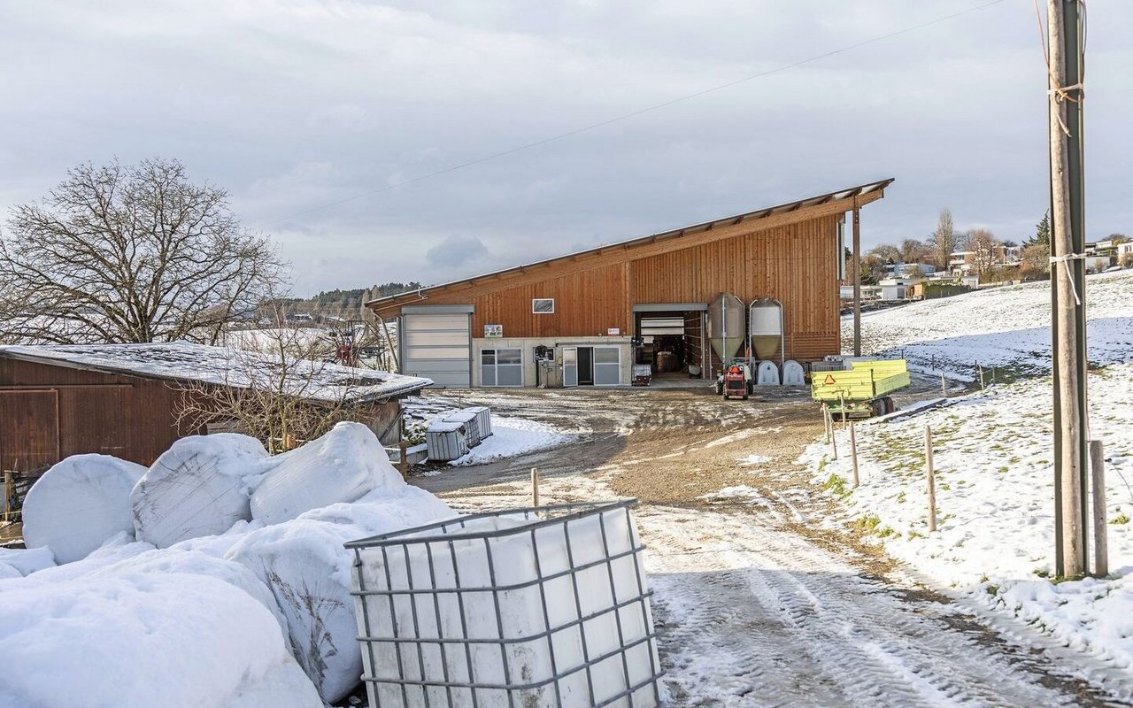 Aussenansicht: Der neue Stall ist zu grossen Teilen aus Holz gebaut und besitzt ein Pultdach. Vor dem Stall liegt Schnee.
