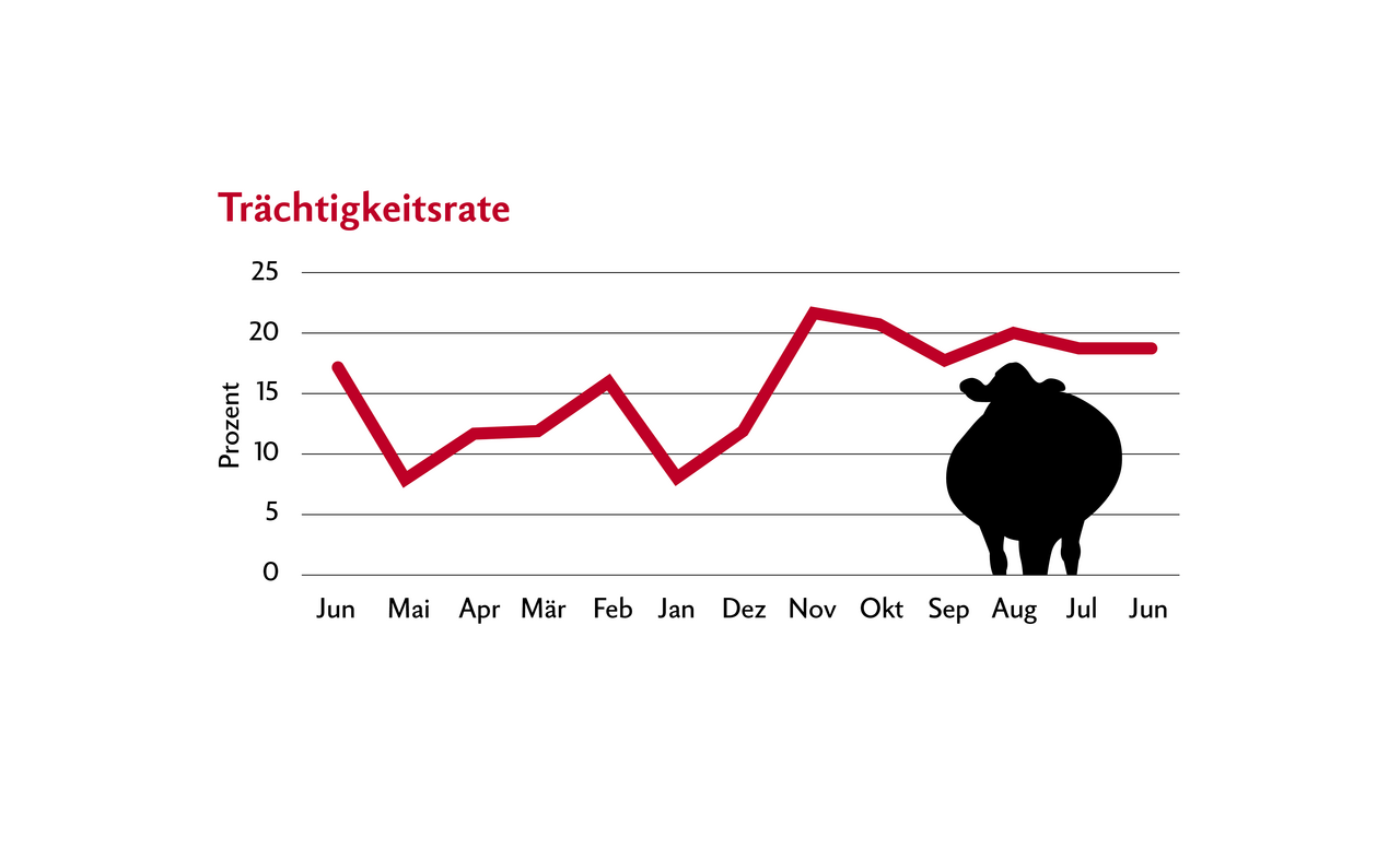 Grafik zeigt die Entwicklung der Trächtigkeitsrate über das Jahr.