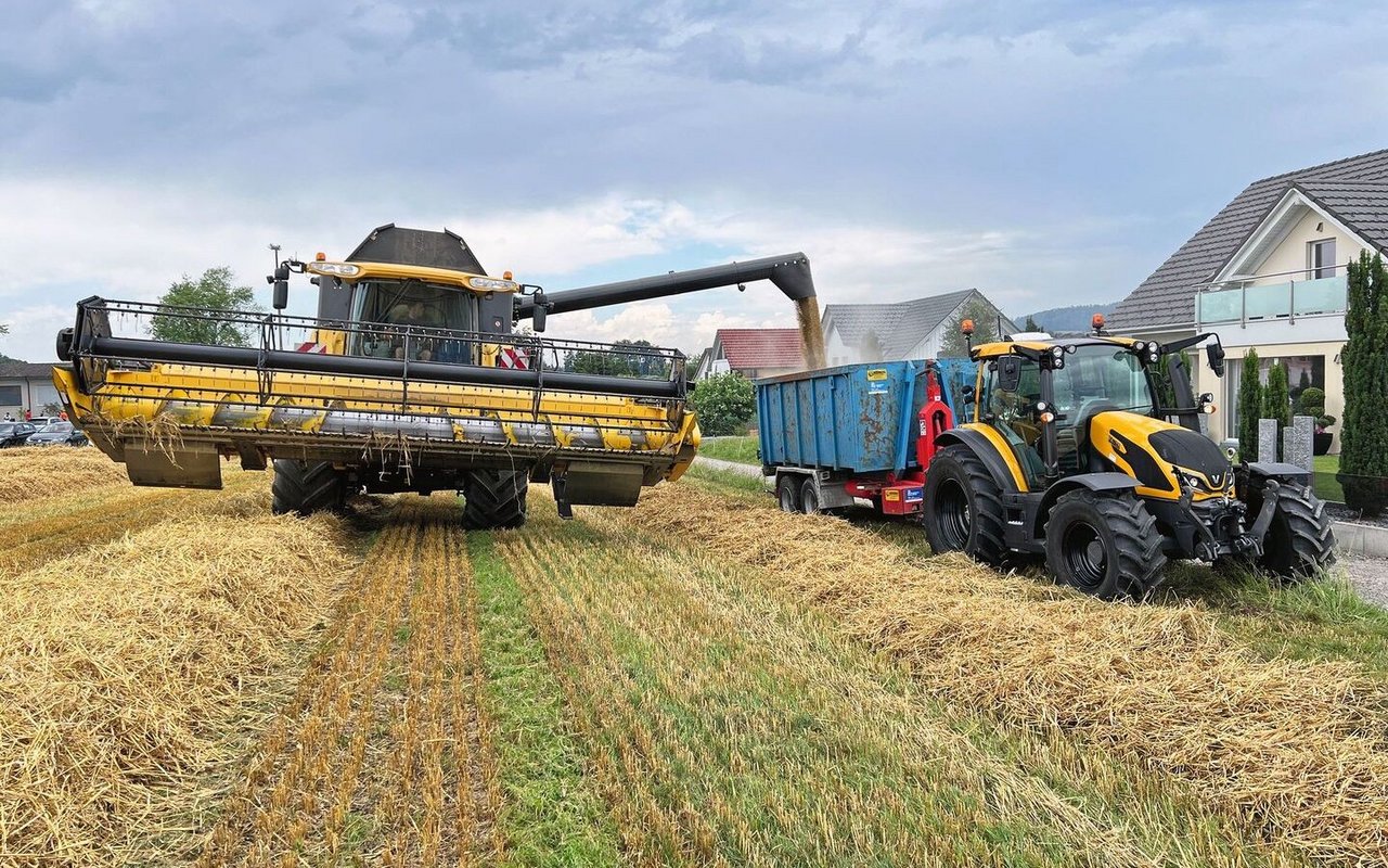 Der Mähdrescher leitet die geerntete Gerste in den Wagen, der nebenher, vom Traktor gezogen, fährt.