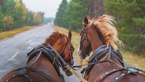 Bei der Leistung des Traktors kommt es nicht nur auf die PS an. Bild: Adobe Stock