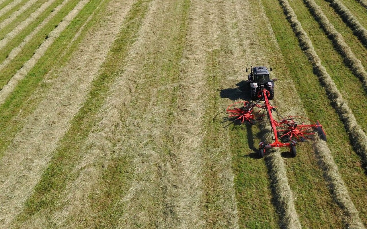 Traktor fährt mit Heuschwader über das Feld und kehrt das Heu zusammen.