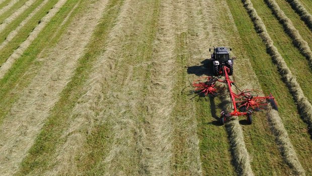 Traktor fährt mit Heuschwader über das Feld und kehrt das Heu zusammen.