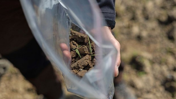 CO2-Zertifikate in der Landwirtschaft Eine Hand hält einen Plastiksack, gefüllt mit Erde.