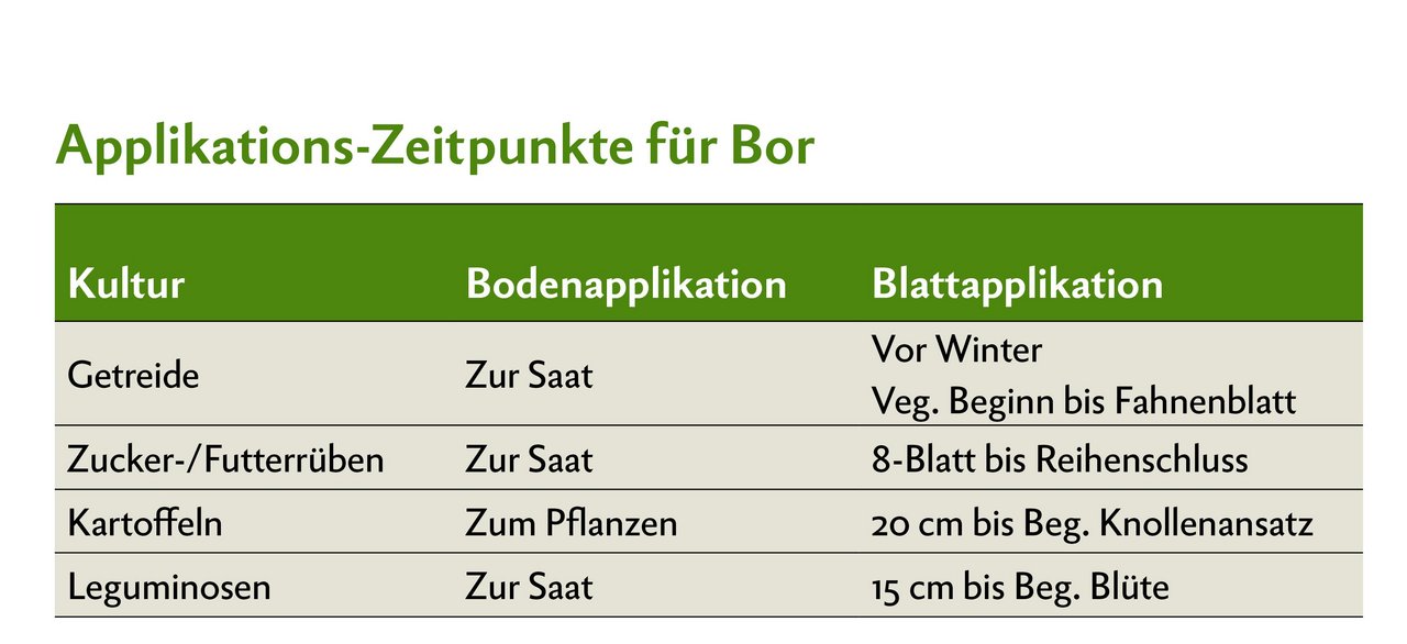 Applikations-Zeitpunkte für Bor bei Getreide, Zucker-/Futterrüben, Kartoffeln und Leguminosen