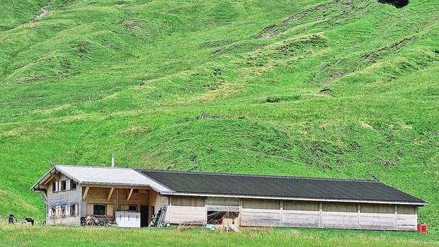 Auf dem Dach des neuen Alpgebäudes der Familie Betschart wurde eine 400 Quadratmeter grosse Photovoltaikanlage installiert.