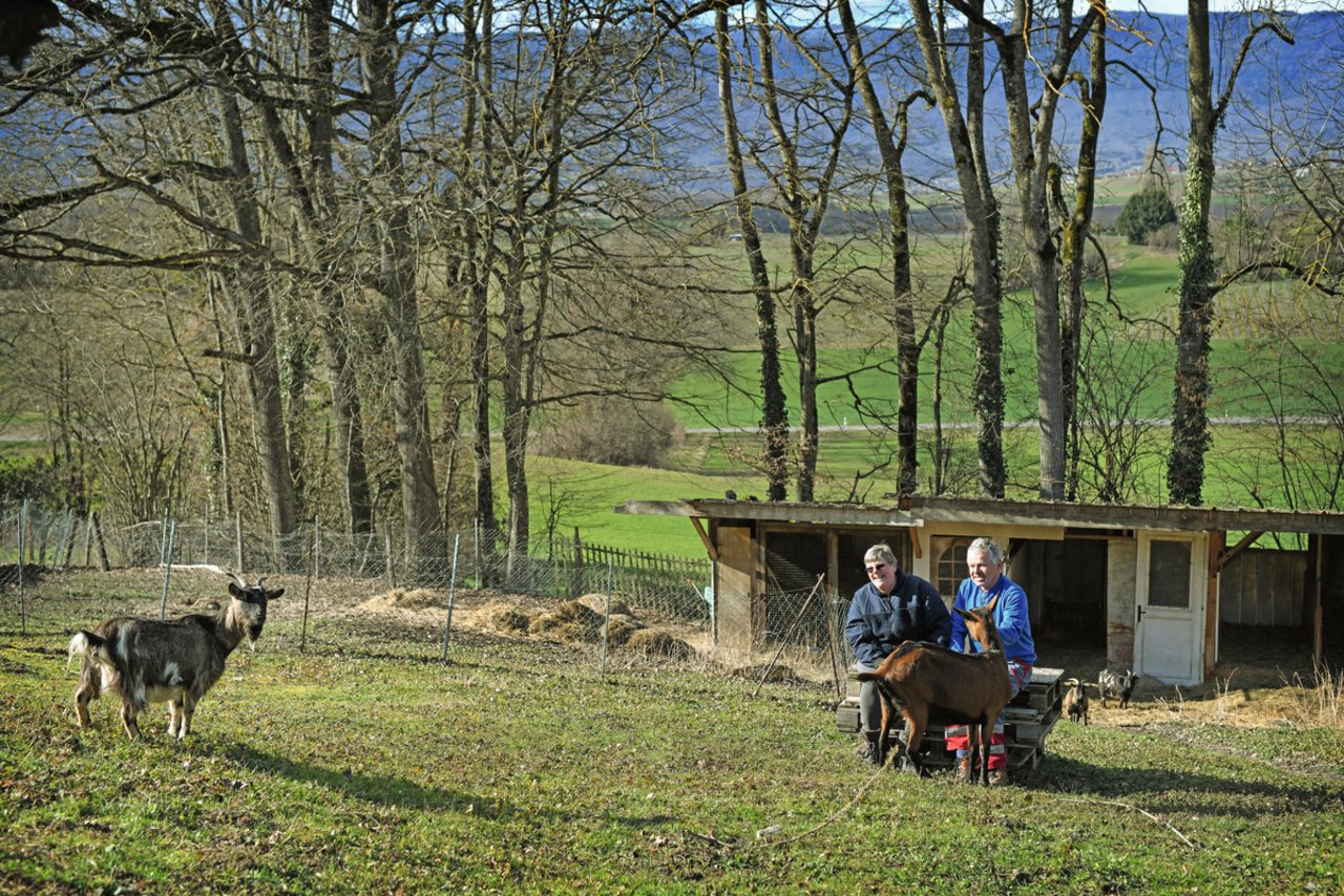 Die Kleintierhaltung ist das grosse Hobby von Sandrine Günter: «Die Ziegen sind günstiger und ökologischer als ein Rasenmäher.» Bild: Laurent Guiraud