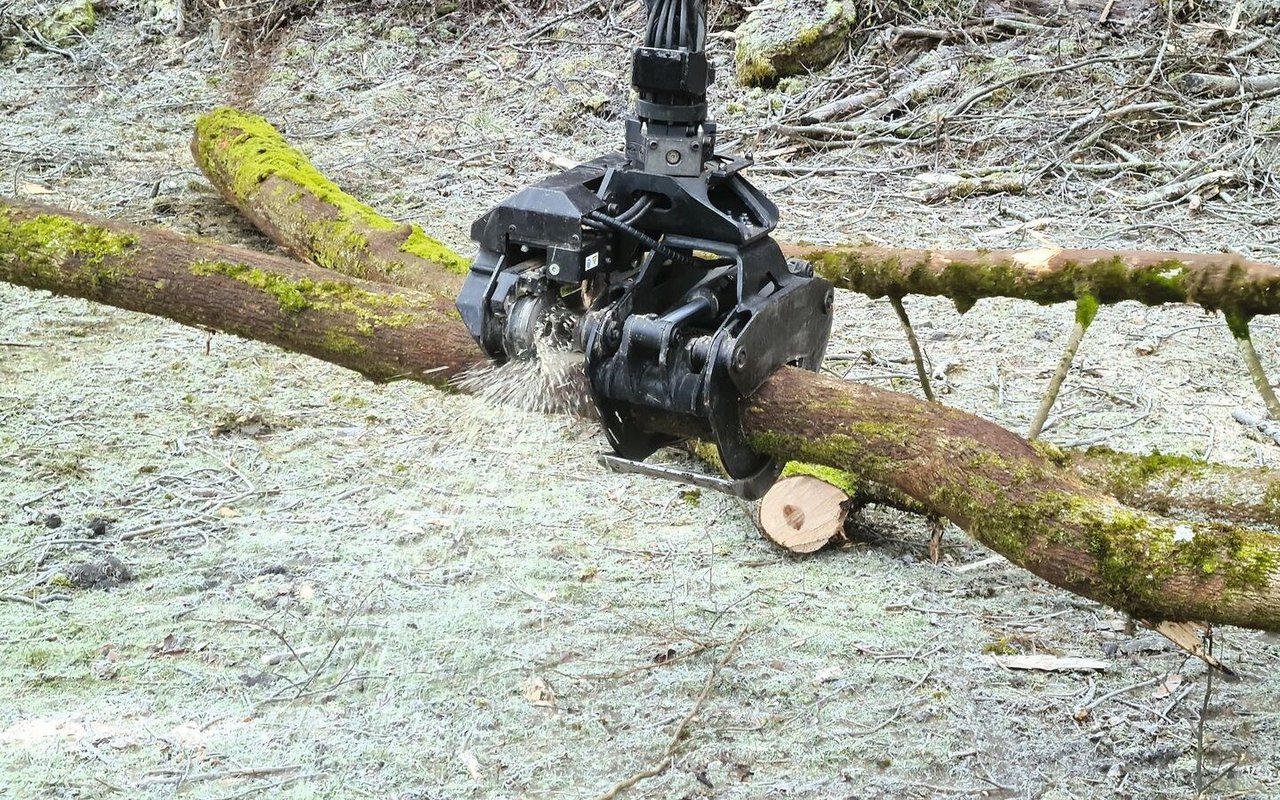 Bei der gewünschten Distanz erfolgt der Schnitt.