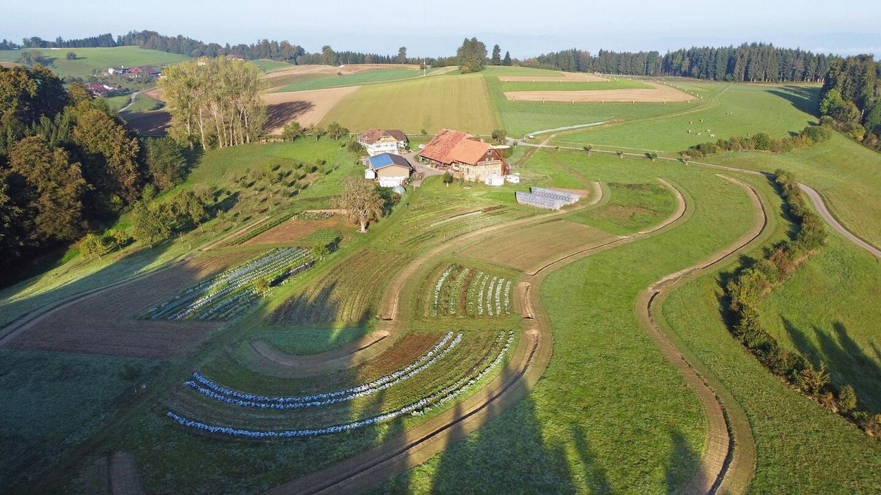 Die Keylines auf dem Katzhof sollen das Wasser auf der Kuppe speichern und verteilen.