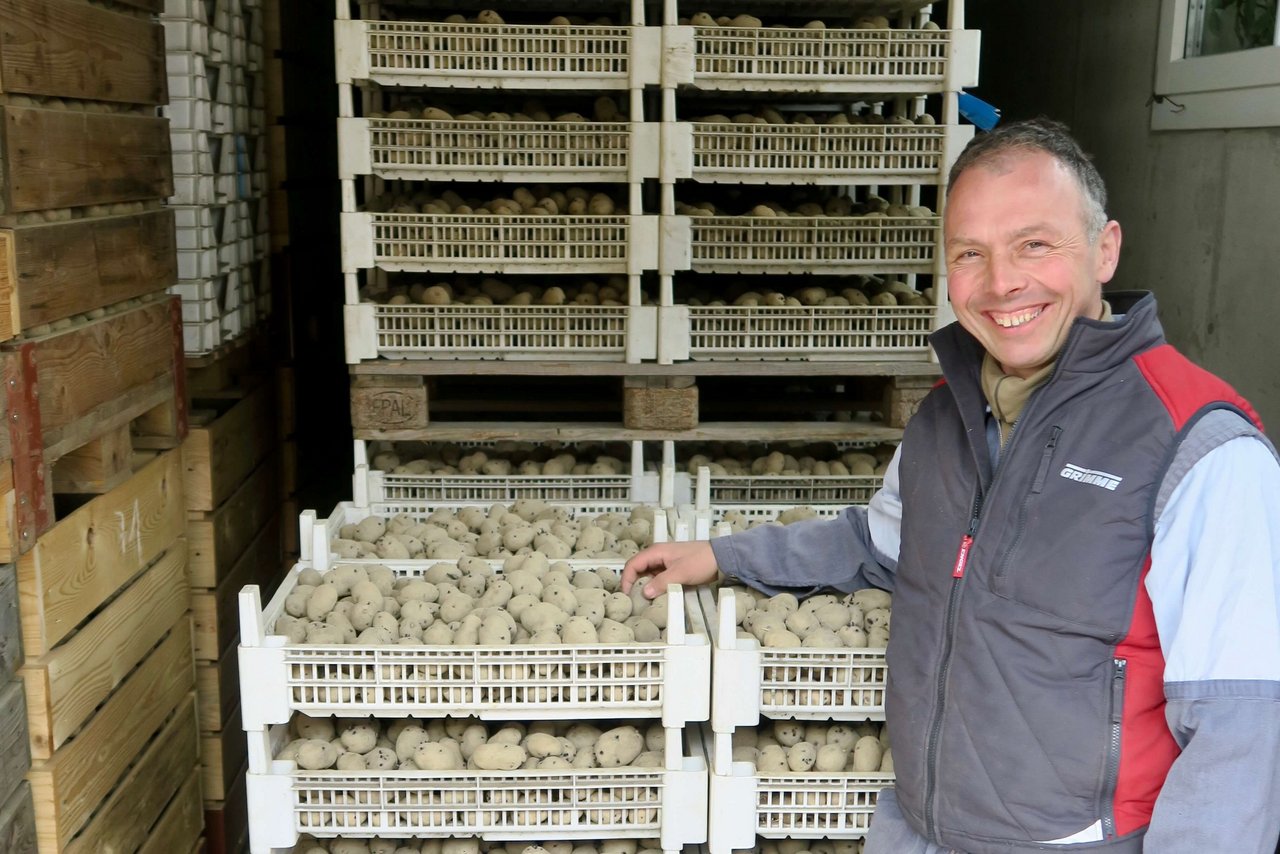 Kartoffelanbau ist für Daniel Peter aus Rickenbach ZH Wissenschaft und Risiko-Business. Denn die Kartoffel verzeiht keine Fehler – macht sich aber auch bezahlt. Bild: Sebastian Hagenbuch