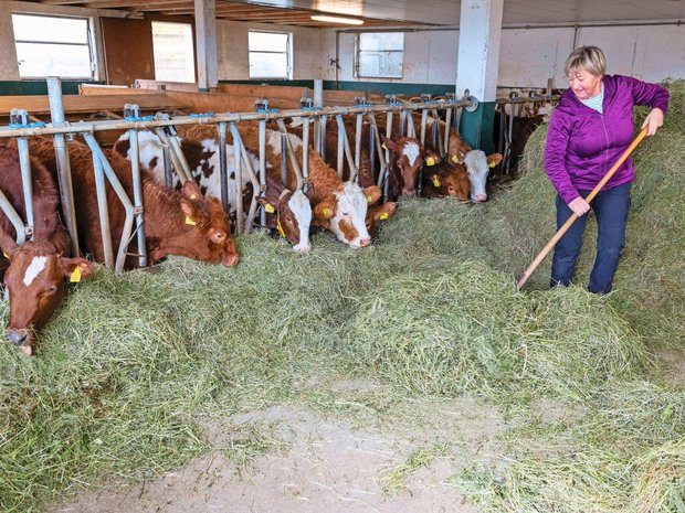 Der Stall mit den Aufzuchtrindern ist vor allem das Reich von Sibylle Bader. Im Stall ist Platz für 64 Rinder in 5 Gruppen.