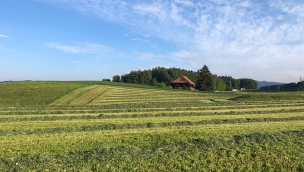 Junge Landwirtinnen und Landwirte engagieren sich, weil ihnen die Zukunft ihres Berufs am Herzen liegt. Bild: Jasmine Baumann