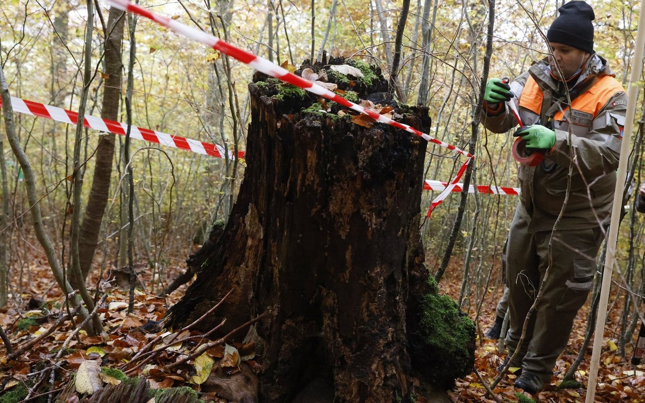 Ein Zivilschützer sperrt die Fundstelle mit rot-weissem Plastikband ab.