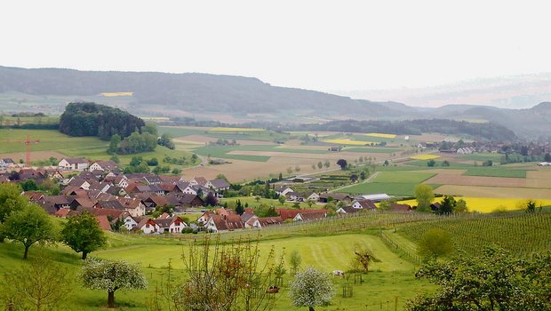 Das Flaachtal im zürcherischen Weinland sieht nicht nur grün aus. Hiesige Bauern haben sich auch dem Klimaschutz verschrieben. (Bild lid)