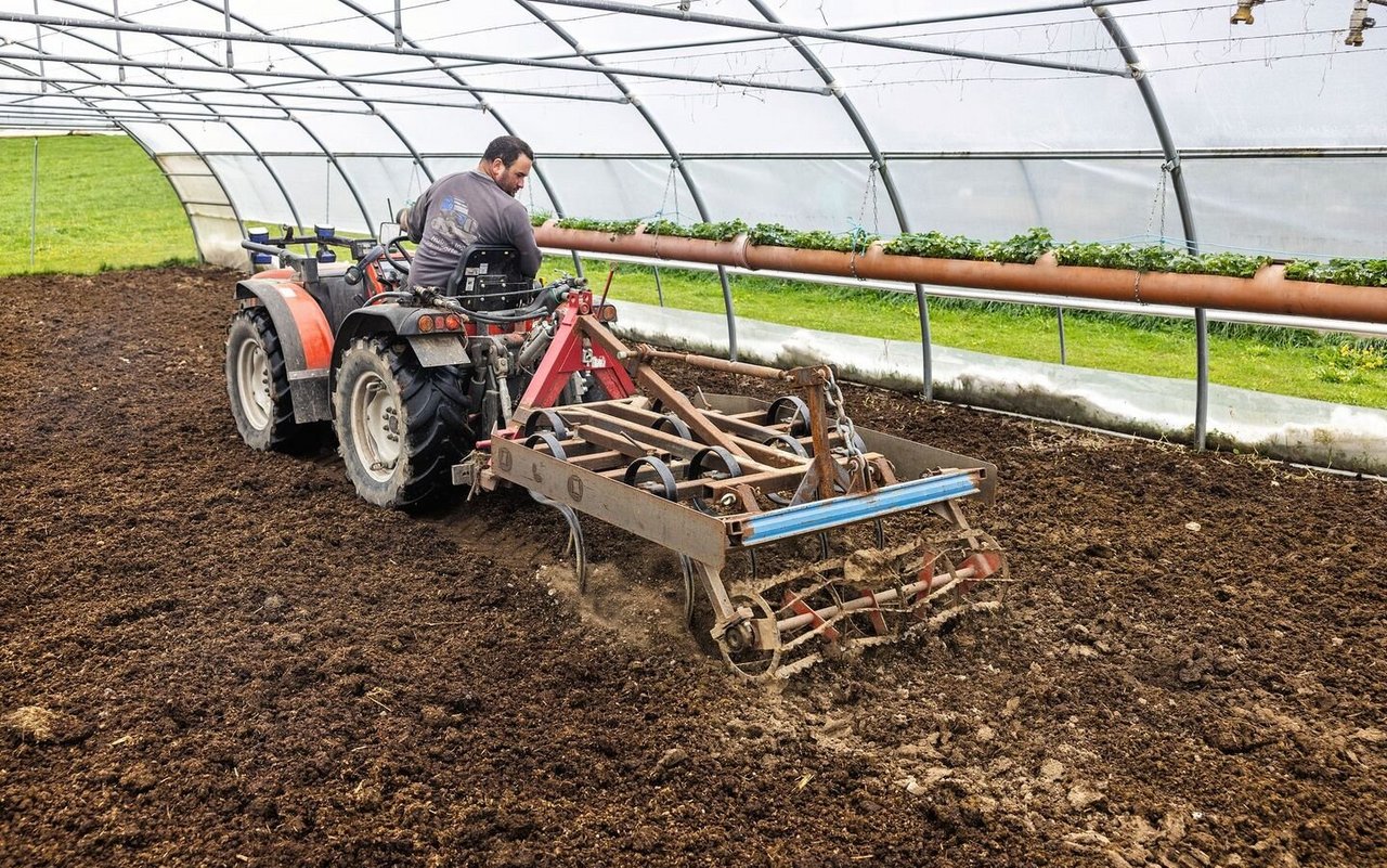 Serge Duperrex arbeitet mit dem Carraro im Folientunnel Mist ein.